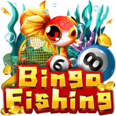 Bingo Fishing on jili333 win games