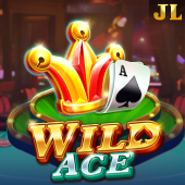 Wild Ace at jili333 win